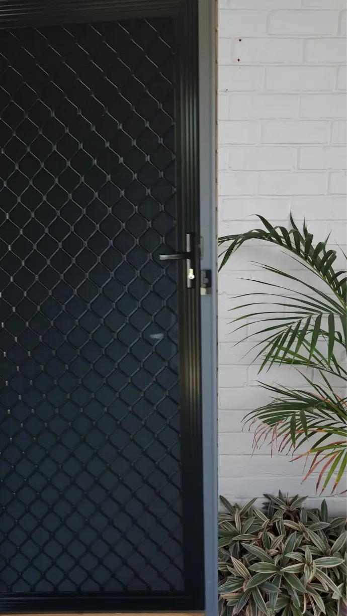 Standard Diamond Security Door